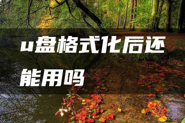 u盘格式化后还能用吗