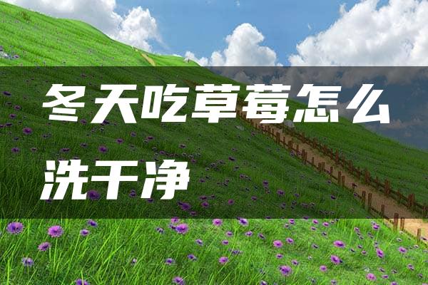 冬天吃草莓怎么洗干净