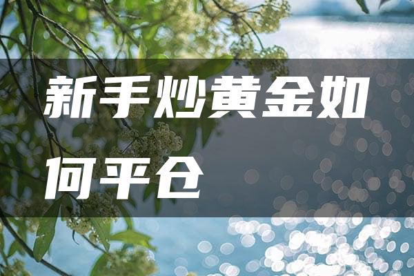 新手炒黄金如何平仓