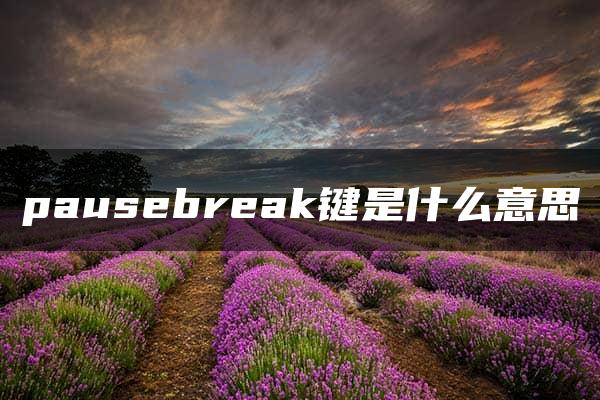 pausebreak键是什么意思