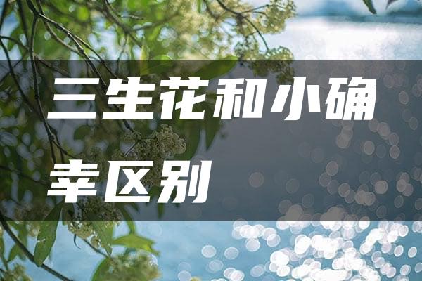 三生花和小确幸区别