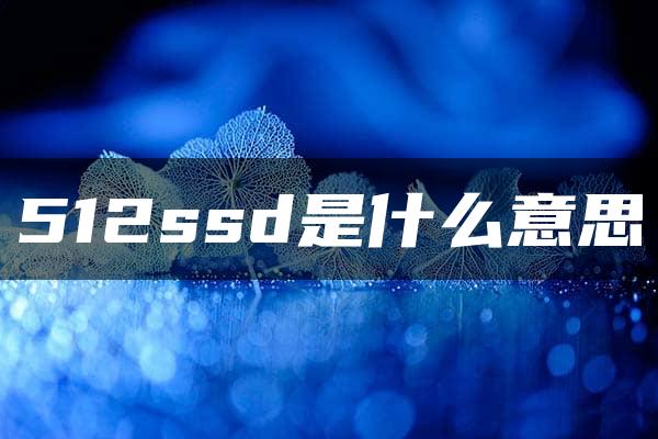 512ssd是什么意思