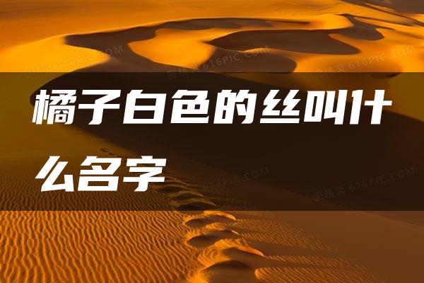 橘子白色的丝叫什么名字