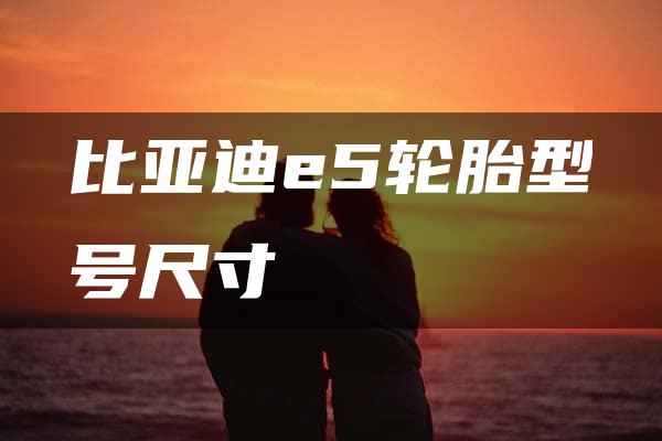 比亚迪e5轮胎型号尺寸