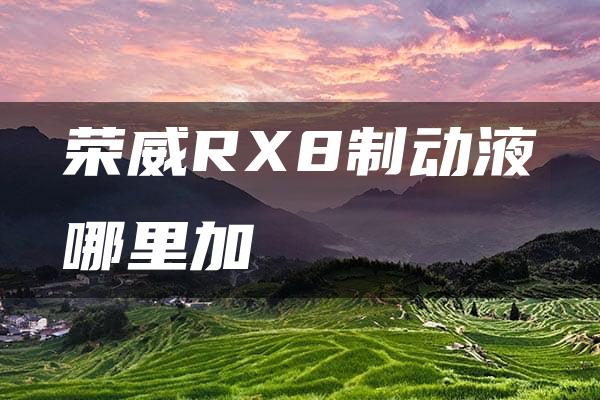 荣威RX8制动液哪里加