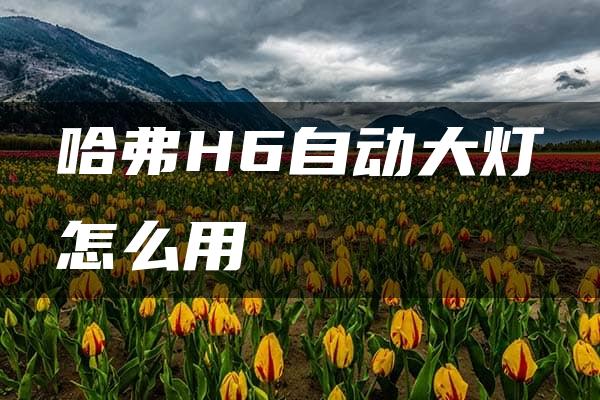 哈弗H6自动大灯怎么用