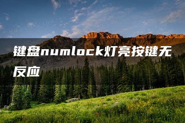 键盘numlock灯亮按键无反应