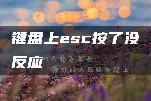 键盘上esc按了没反应