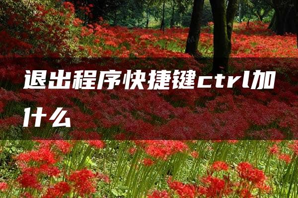 退出程序快捷键ctrl加什么