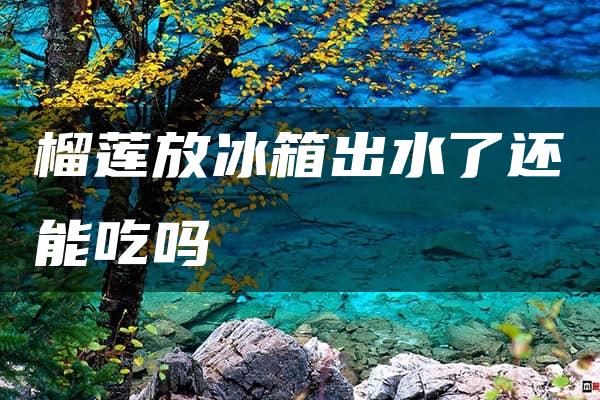 榴莲放冰箱出水了还能吃吗