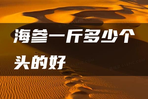 海参一斤多少个头的好