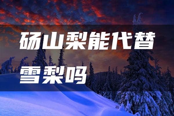 砀山梨能代替雪梨吗