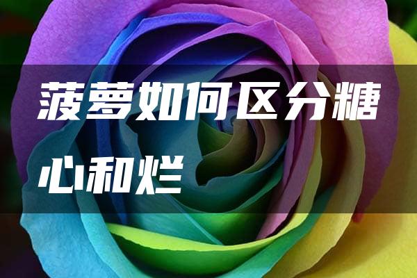 菠萝如何区分糖心和烂