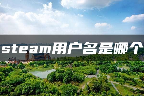 steam用户名是哪个