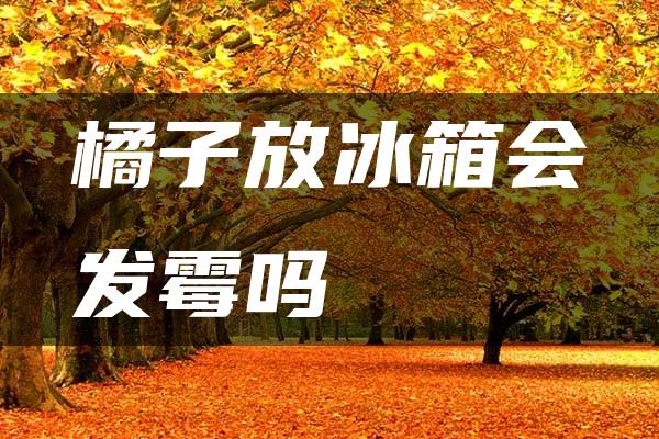 橘子放冰箱会发霉吗