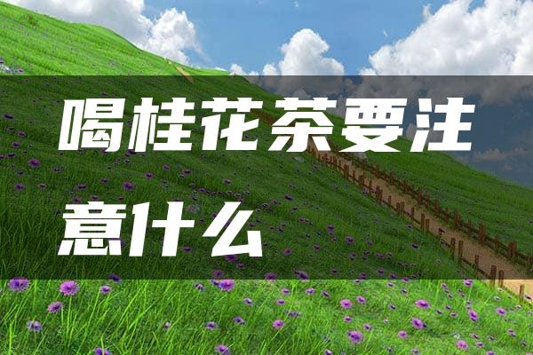 喝桂花茶要注意什么