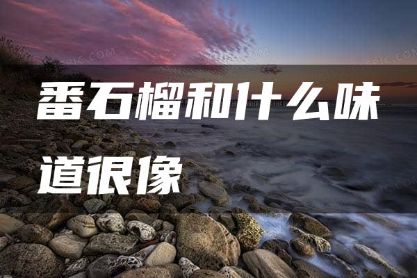 番石榴和什么味道很像