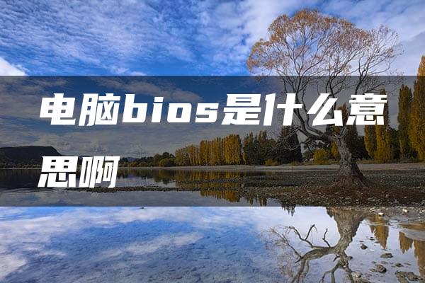 电脑bios是什么意思啊