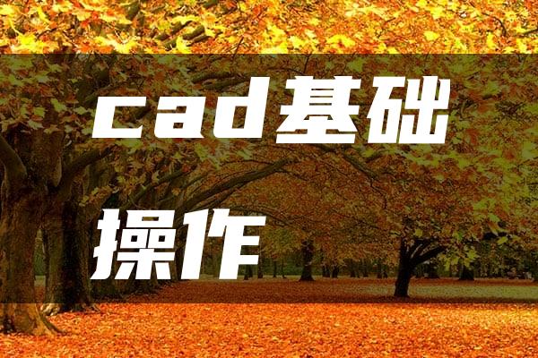 cad基础操作