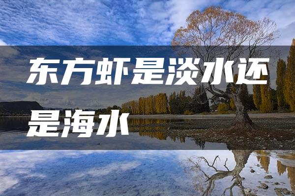 东方虾是淡水还是海水