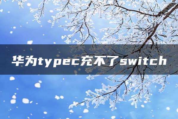 华为typec充不了switch