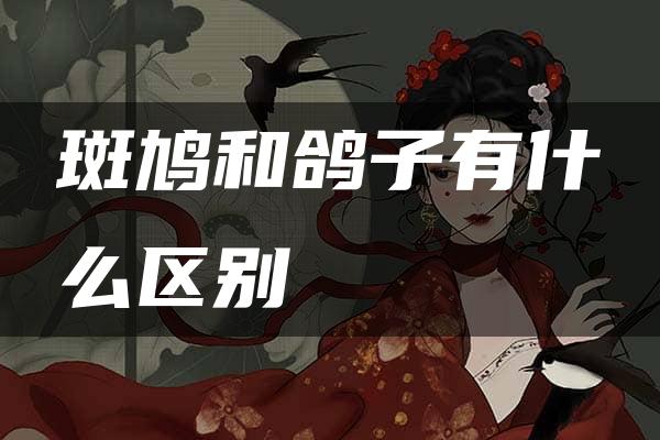 斑鸠和鸽子有什么区别