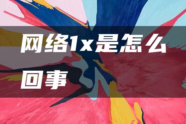 网络1x是怎么回事