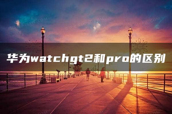 华为watchgt2和pro的区别