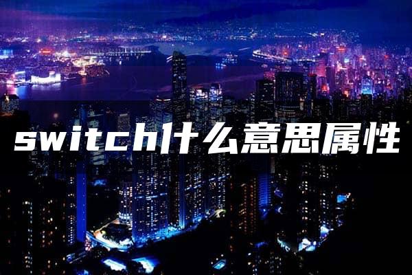 switch什么意思属性