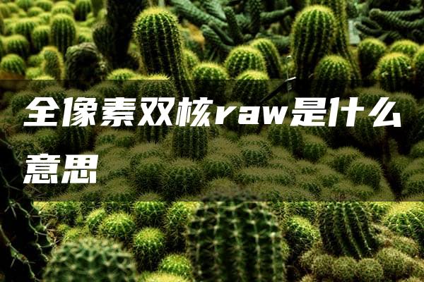 全像素双核raw是什么意思