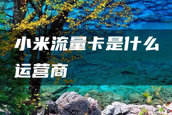 小米流量卡是什么运营商