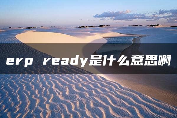 erp ready是什么意思啊