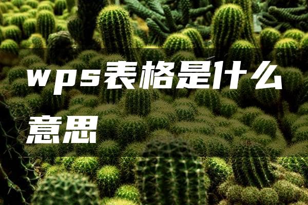 wps表格是什么意思