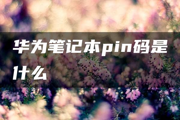 华为笔记本pin码是什么