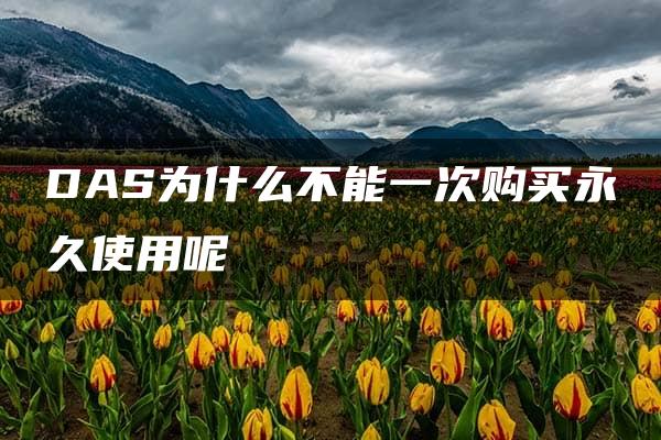 DAS为什么不能一次购买永久使用呢