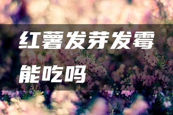 红薯发芽发霉能吃吗