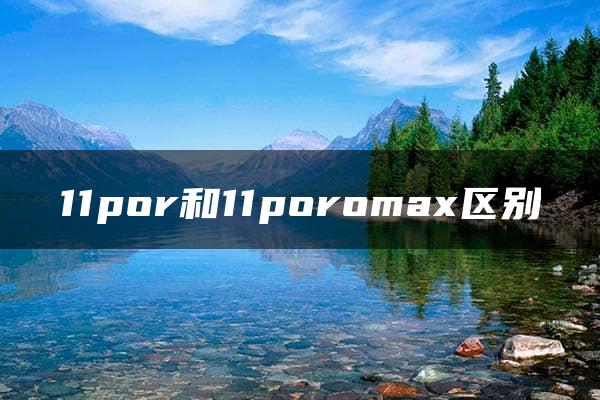 11por和11poromax区别