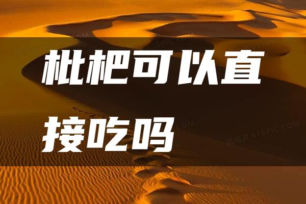 枇杷可以直接吃吗