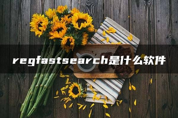 regfastsearch是什么软件