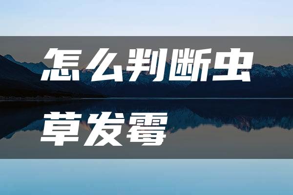 怎么判断虫草发霉