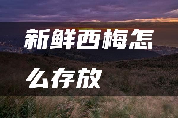 新鲜西梅怎么存放