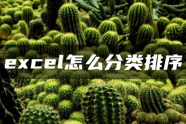 excel怎么分类排序