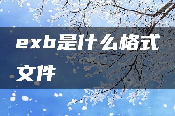 exb是什么格式文件