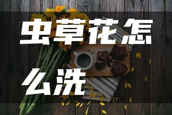 虫草花怎么洗