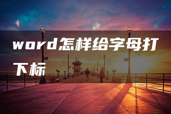 word怎样给字母打下标