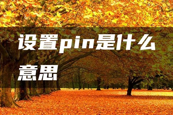 设置pin是什么意思