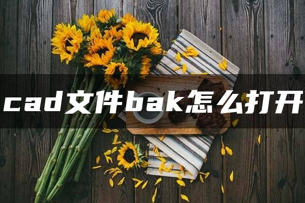 cad文件bak怎么打开