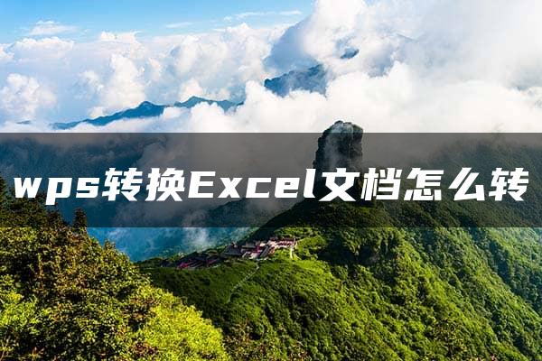 wps转换Excel文档怎么转