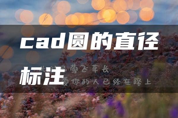 cad圆的直径标注