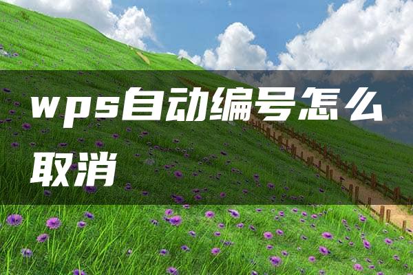 wps自动编号怎么取消